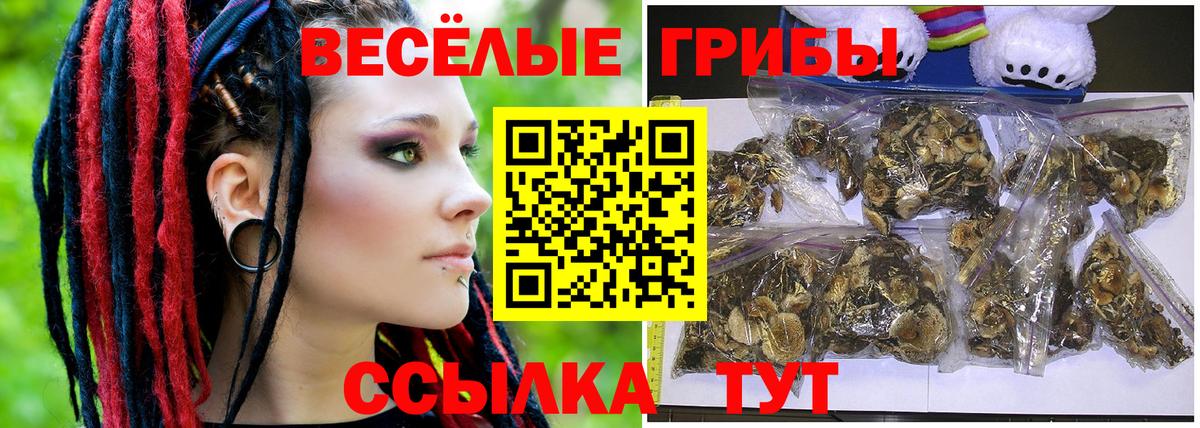 Галлюциногенные грибы ЛСД  Вход с VPN  Галлюциногенные грибы MAGIC MUSHROOMS  где продают   Омск 