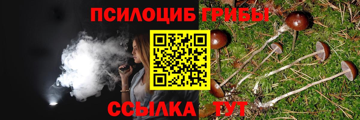 Галлюциногенные грибы прущие грибы Омск