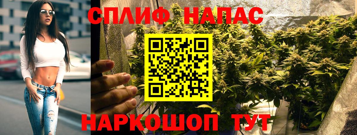Конопля план Омск